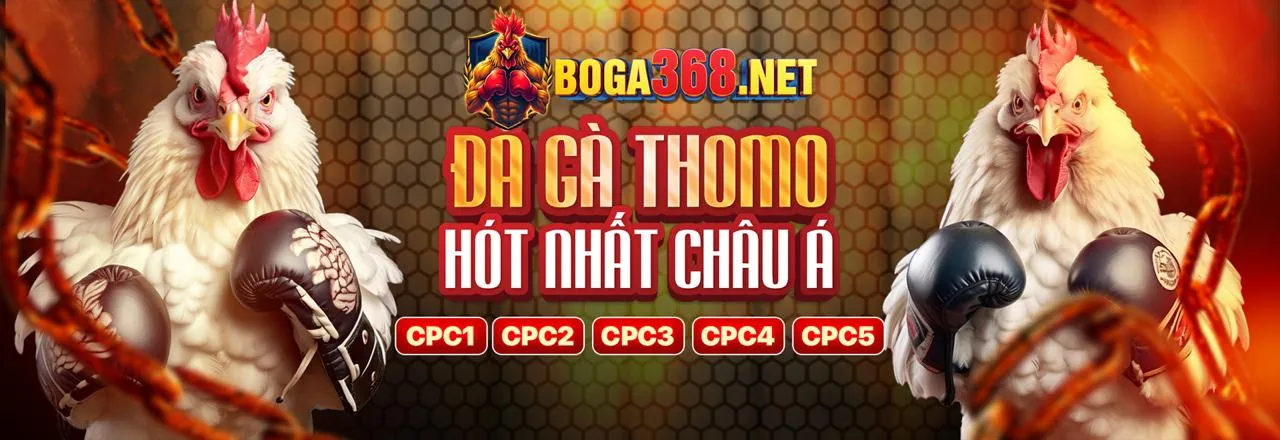 Hình ảnh minh họa chiến lược cá cược thể thao 8xbet77