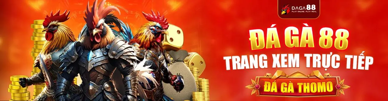 Đá gà trực tuyến 8XBET77